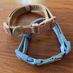 Maxbone Signature Collars Set of 2 size Small